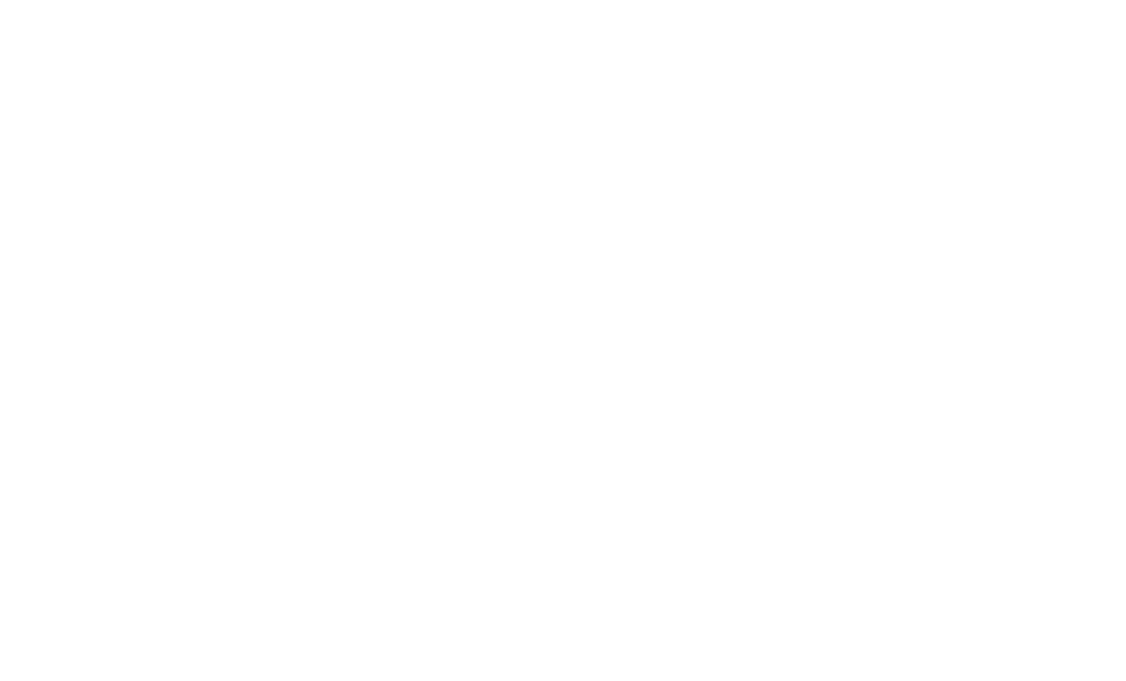 Logo homepage